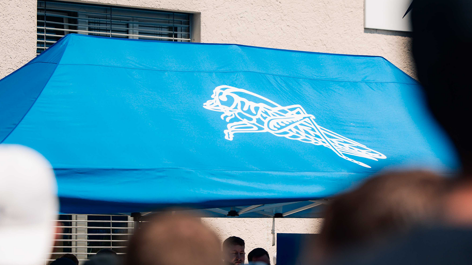 Fanzone beim Heimspiel gegen YB